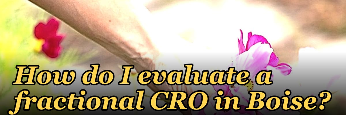 How do I evaluate a fractional CRO in Boise in 2027?