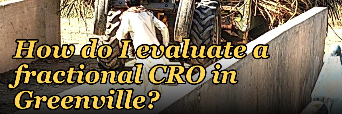 How do I evaluate a fractional CRO in Greenville in 2027?