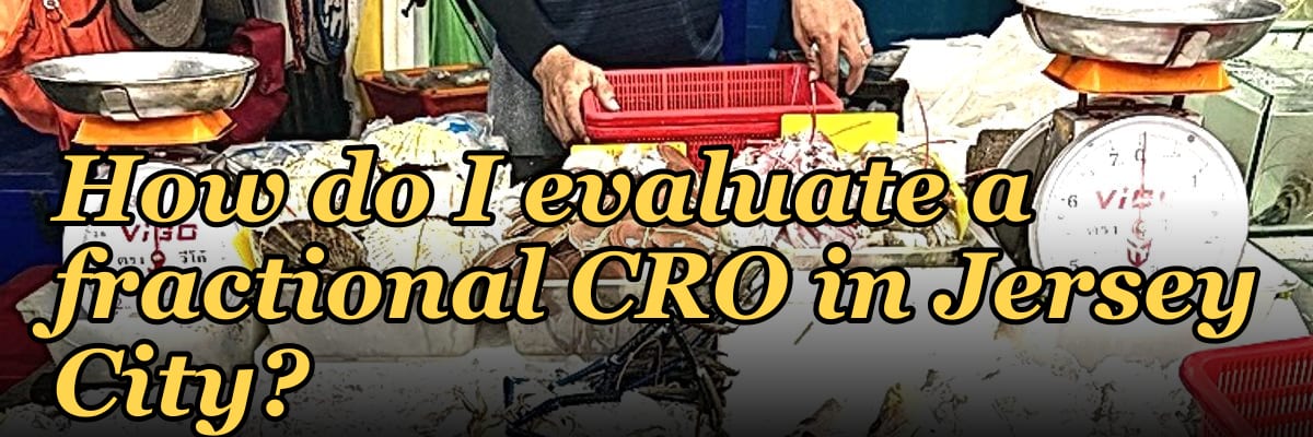 How do I evaluate a fractional CRO in Jersey City in 2027?