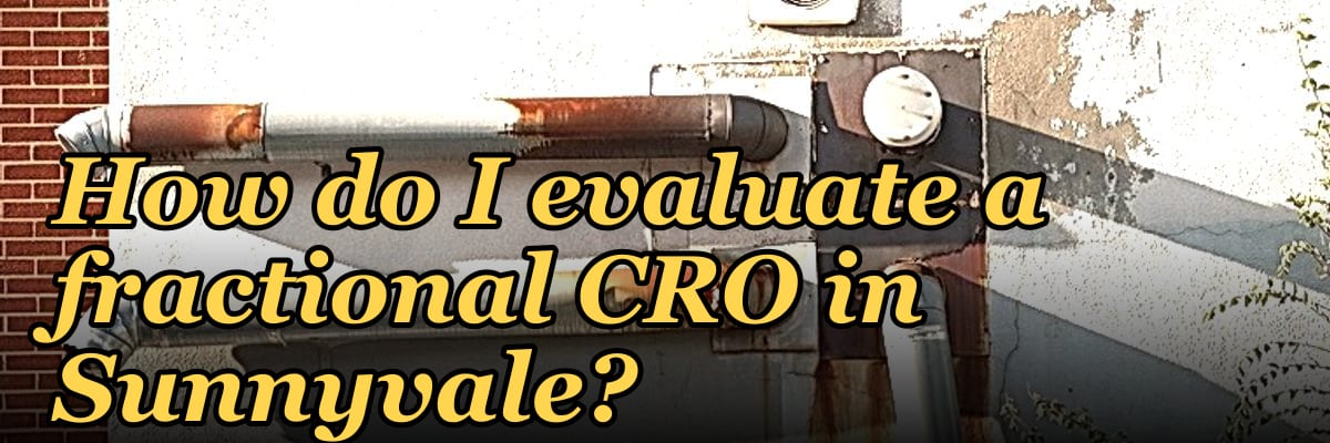 How do I evaluate a fractional CRO in Sunnyvale in 2027?