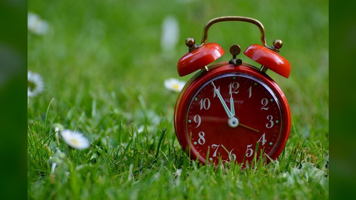 How much does a part-time CRO cost in Baton Rouge — figure 4