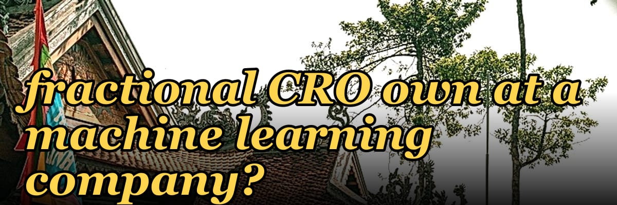 What KPIs should a fractional CRO own at a machine learning company in 2027?