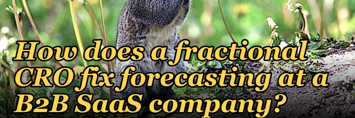 How does a fractional CRO fix forecasting at a B2B SaaS company in 2027?