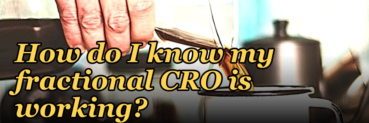 How do I know my fractional CRO is working in 2027?