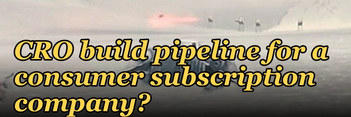 How does a fractional CRO build pipeline for a consumer subscription company in 2027?