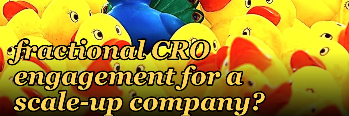 How do I scope a fractional CRO engagement for a scale-up company in 2027?