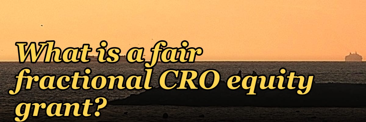 What is a fair fractional CRO equity grant in 2027?
