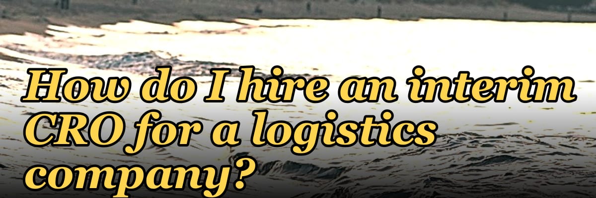 How do I hire an interim CRO for a logistics company in 2027?