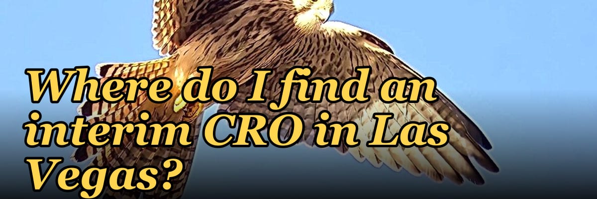 Where do I find an interim CRO in Las Vegas in 2027?