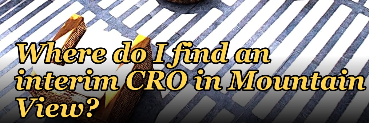 Where do I find an interim CRO in Mountain View in 2027?