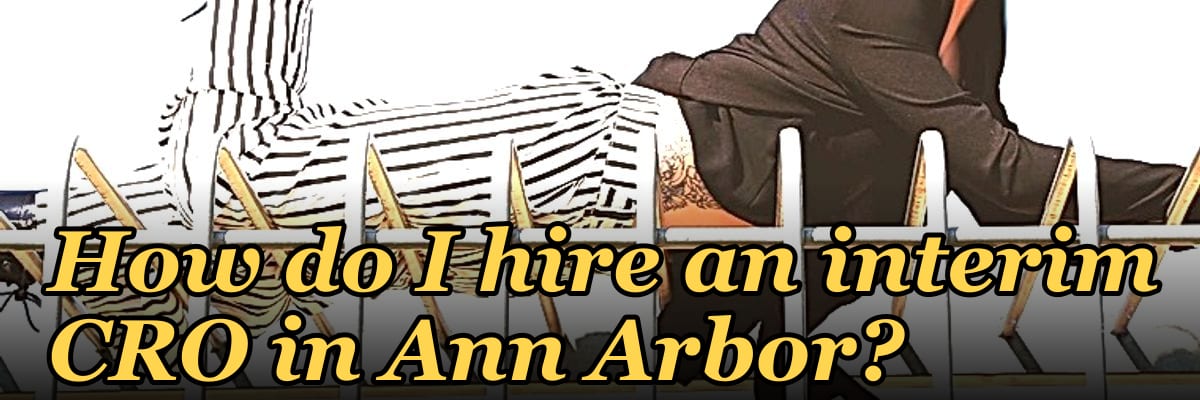 How do I hire an interim CRO in Ann Arbor in 2027?