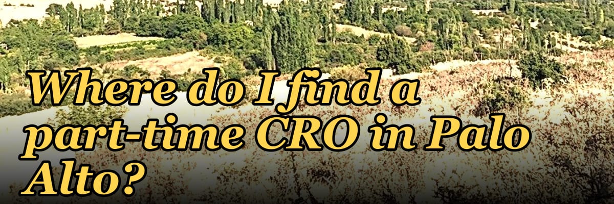 Where do I find a part-time CRO in Palo Alto in 2027?