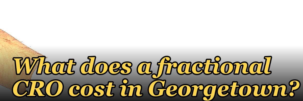 What does a fractional CRO cost in Georgetown in 2027?