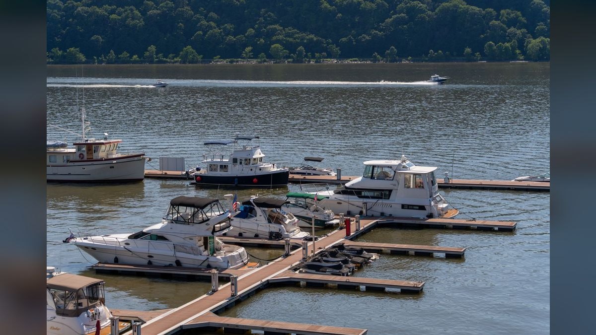 How do I hire a fractional CRO in Annapolis — figure 3
