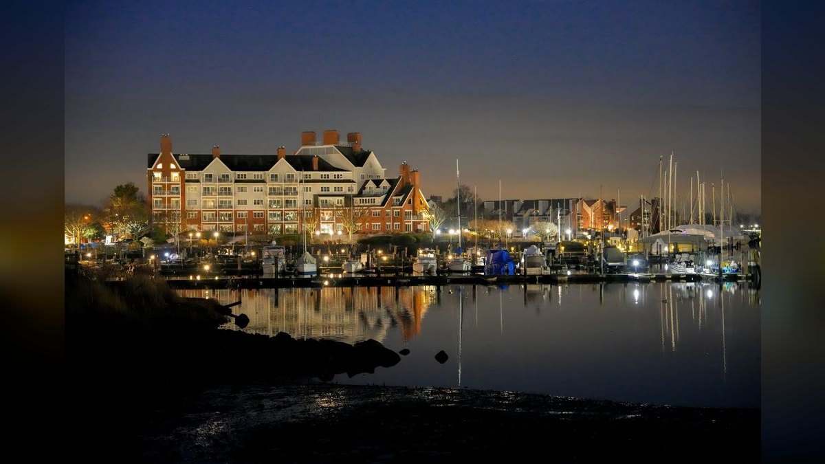 How do I hire a fractional CRO in Annapolis — figure 4
