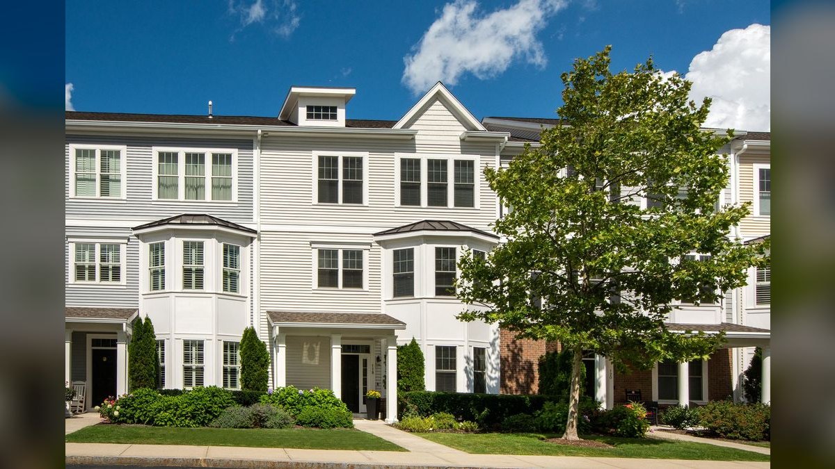 How do I find a fractional CRO in Rockville — figure 1