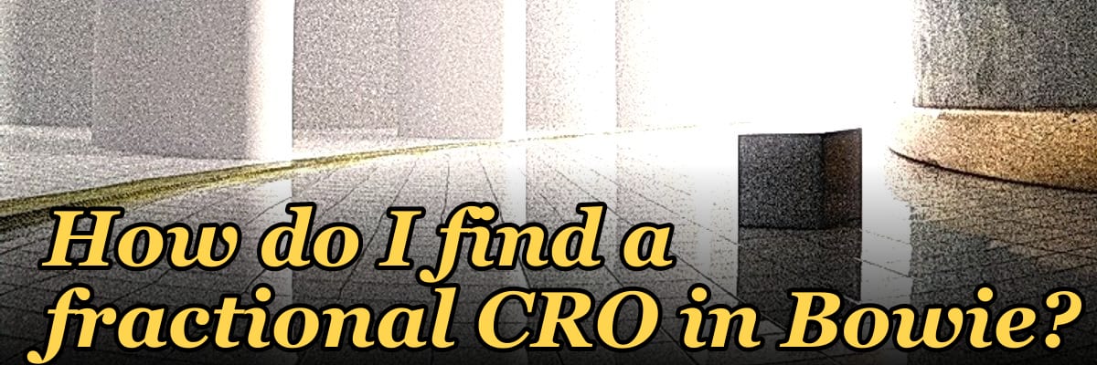 How do I find a fractional CRO in Bowie in 2027?