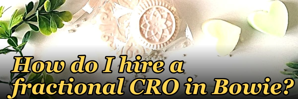 How do I hire a fractional CRO in Bowie in 2027?