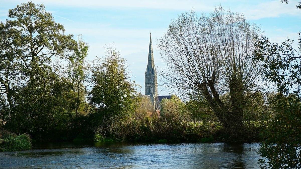 How do I hire a fractional CRO in Salisbury — figure 3
