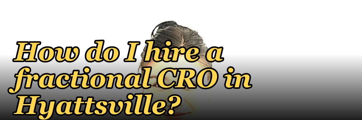 How do I hire a fractional CRO in Hyattsville in 2027?
