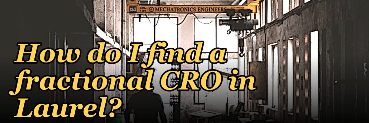How do I find a fractional CRO in Laurel in 2027?