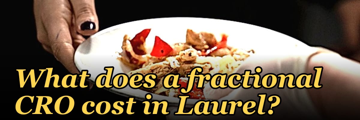 What does a fractional CRO cost in Laurel in 2027?