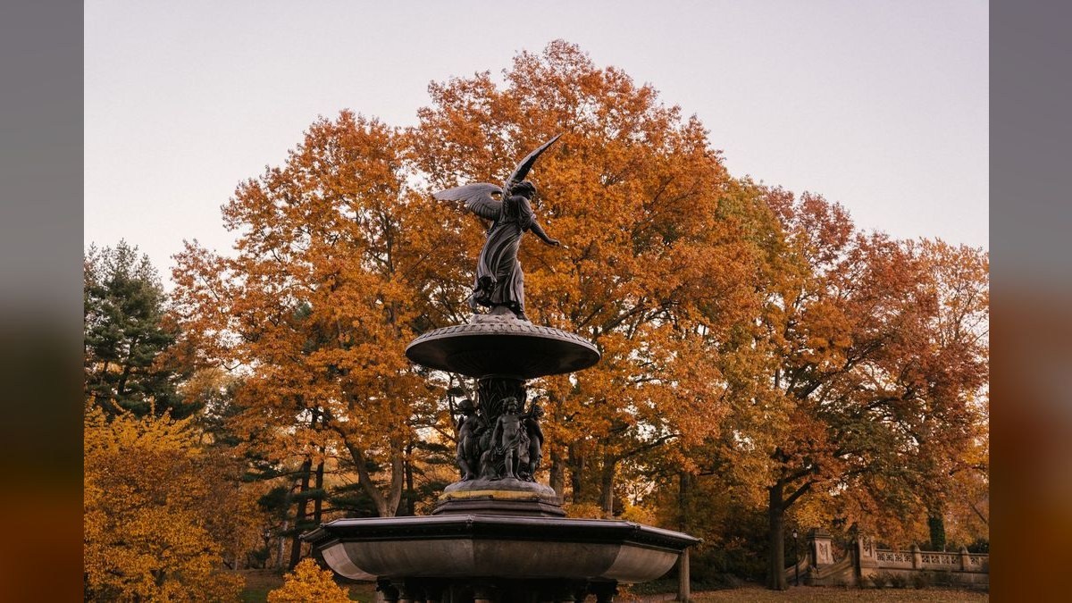 How do I find a fractional CRO in Bethesda in 2027?