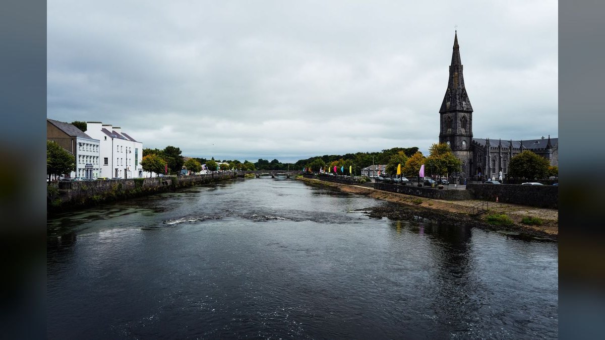 How do I hire a fractional CRO in Dundalk — figure 5