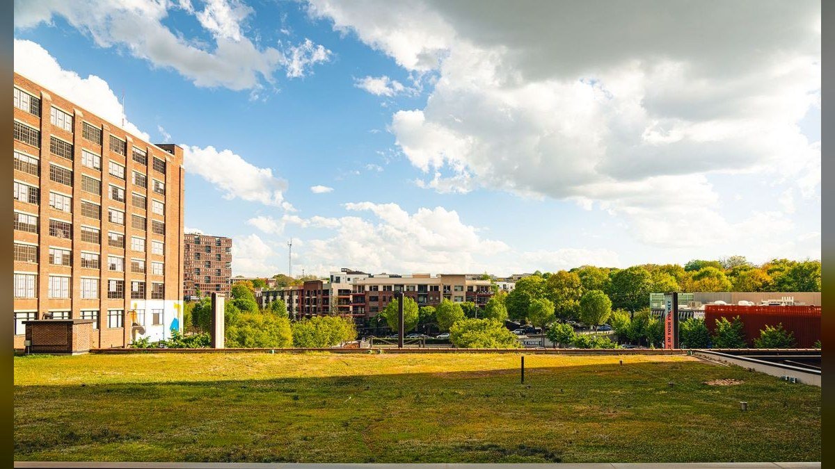How do I hire a fractional CRO in Pikesville in 2027?