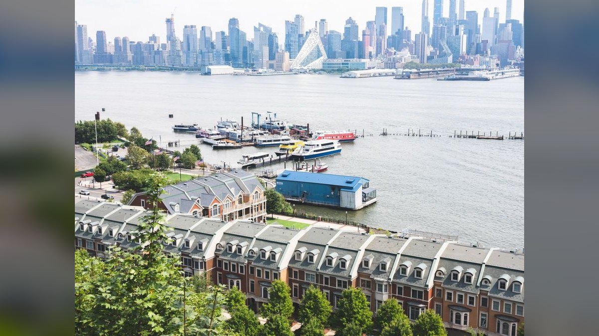 How do I find a fractional CRO in Edgewater in 2027?