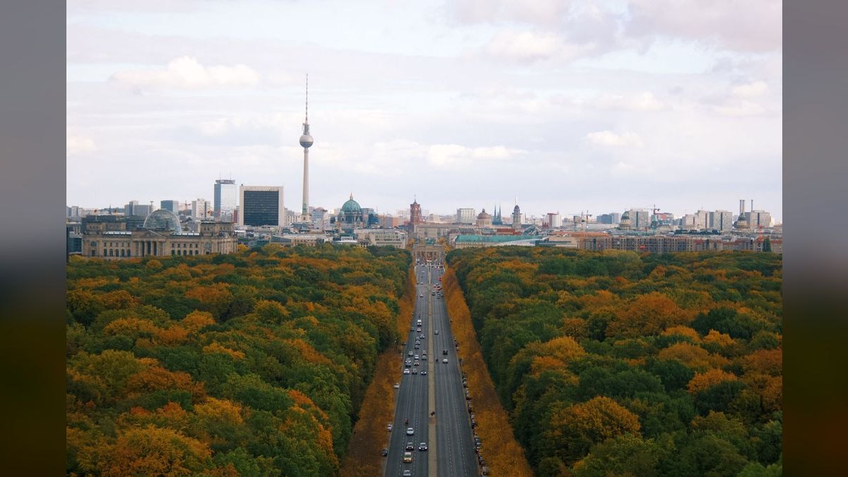 How do I find a fractional CRO in Berlin — figure 2