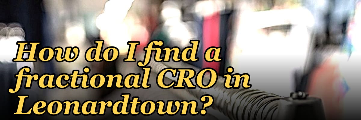 How do I find a fractional CRO in Leonardtown in 2027?