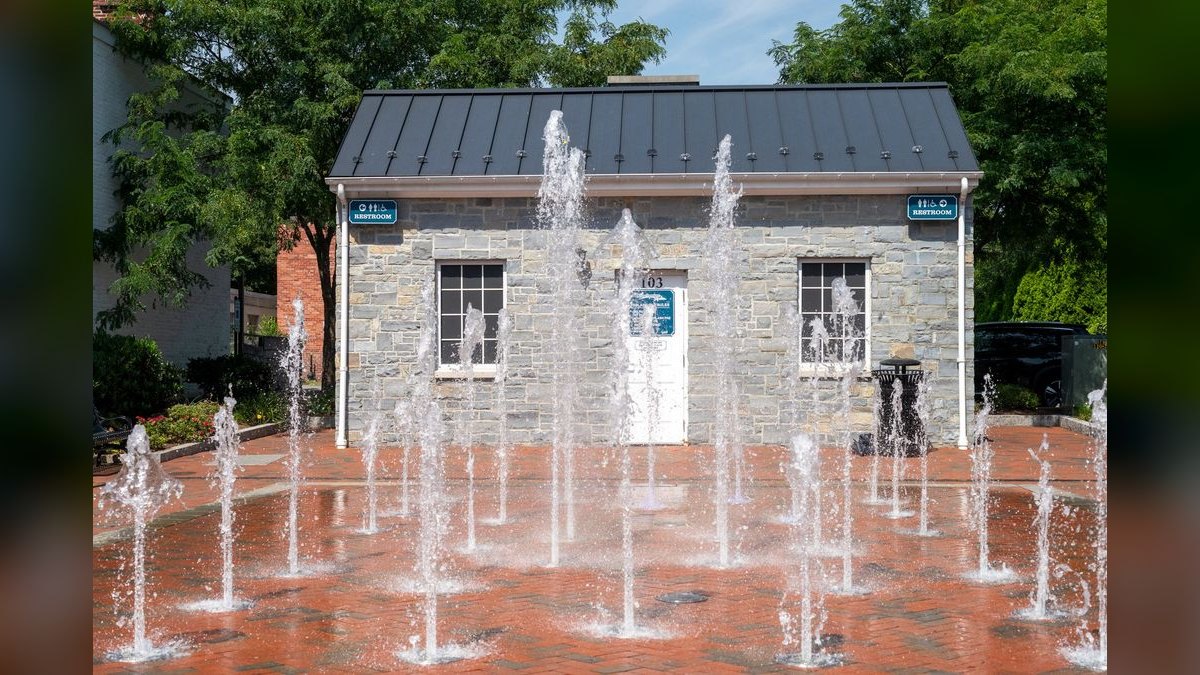 How do I hire a fractional CRO in Leonardtown — figure 4