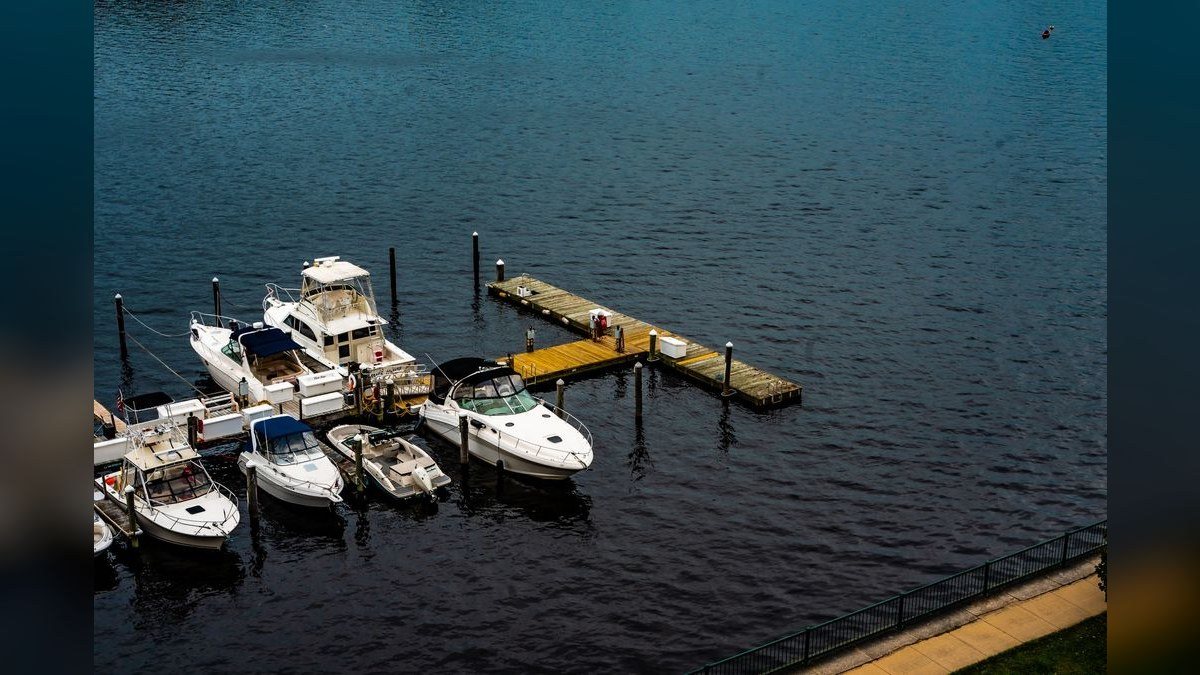 How do I hire a fractional CRO in Leonardtown in 2027?