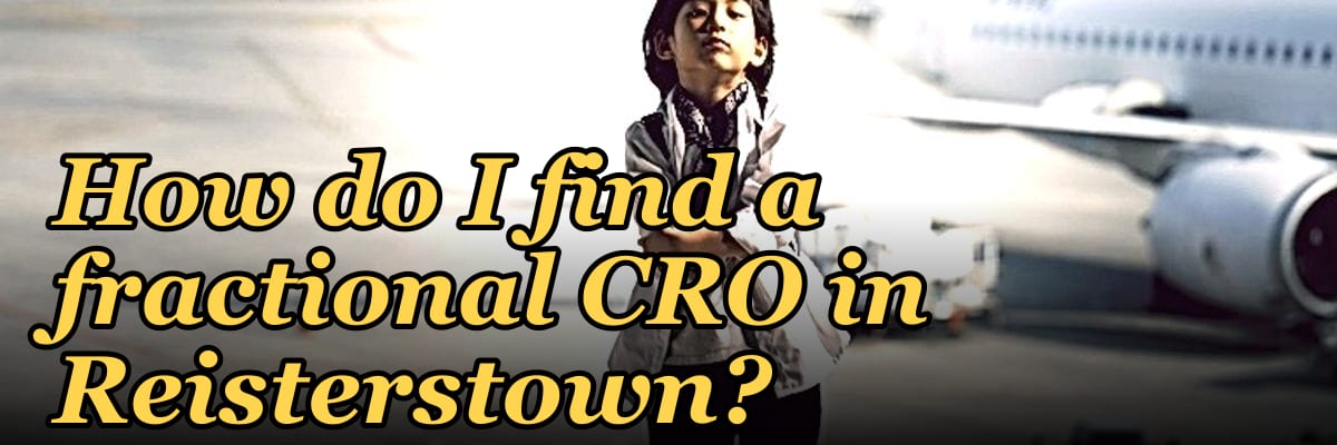 How do I find a fractional CRO in Reisterstown in 2027?