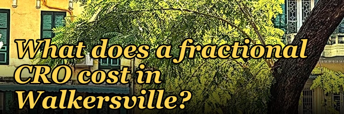 What does a fractional CRO cost in Walkersville in 2027?