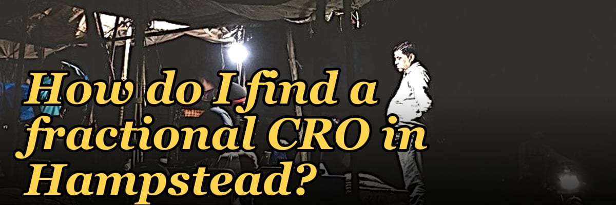 How do I find a fractional CRO in Hampstead in 2027?