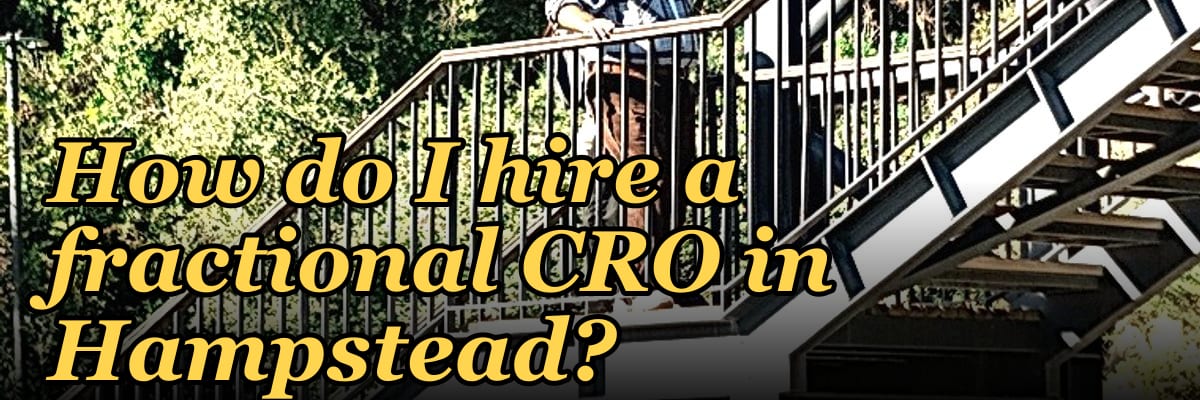 How do I hire a fractional CRO in Hampstead in 2027?