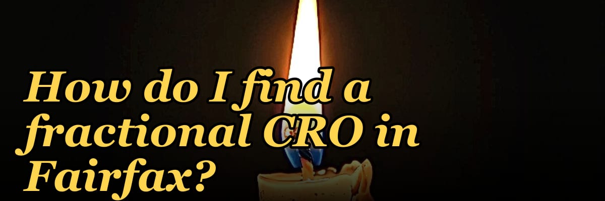 How do I find a fractional CRO in Fairfax in 2027?