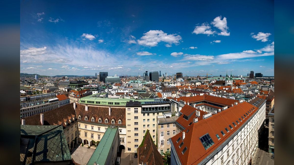 What does a fractional CRO cost in Vienna — figure 3