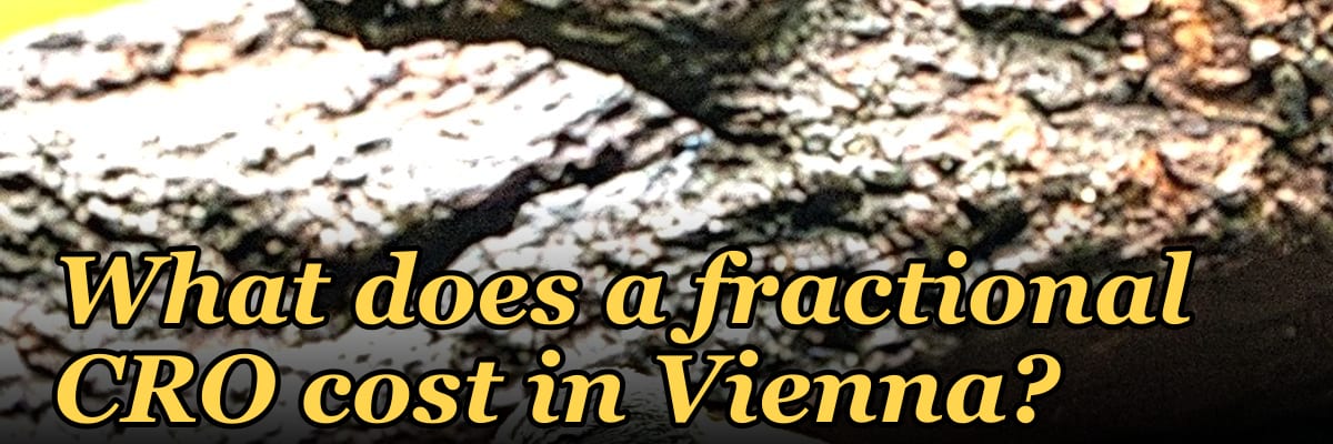 What does a fractional CRO cost in Vienna in 2027?