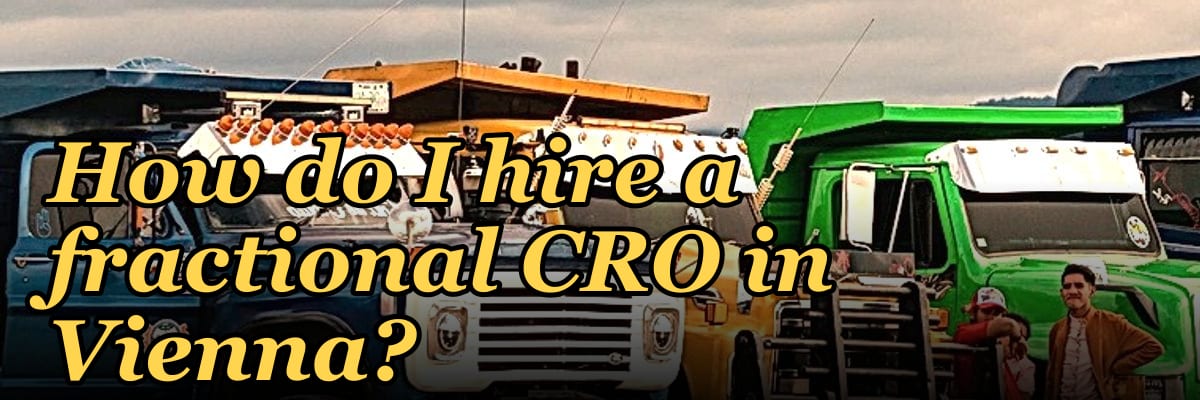 How do I hire a fractional CRO in Vienna in 2027?