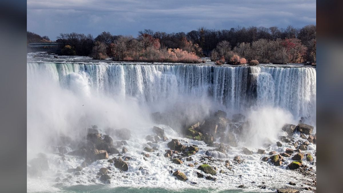 How do I find a fractional CRO in Falls Church — figure 3