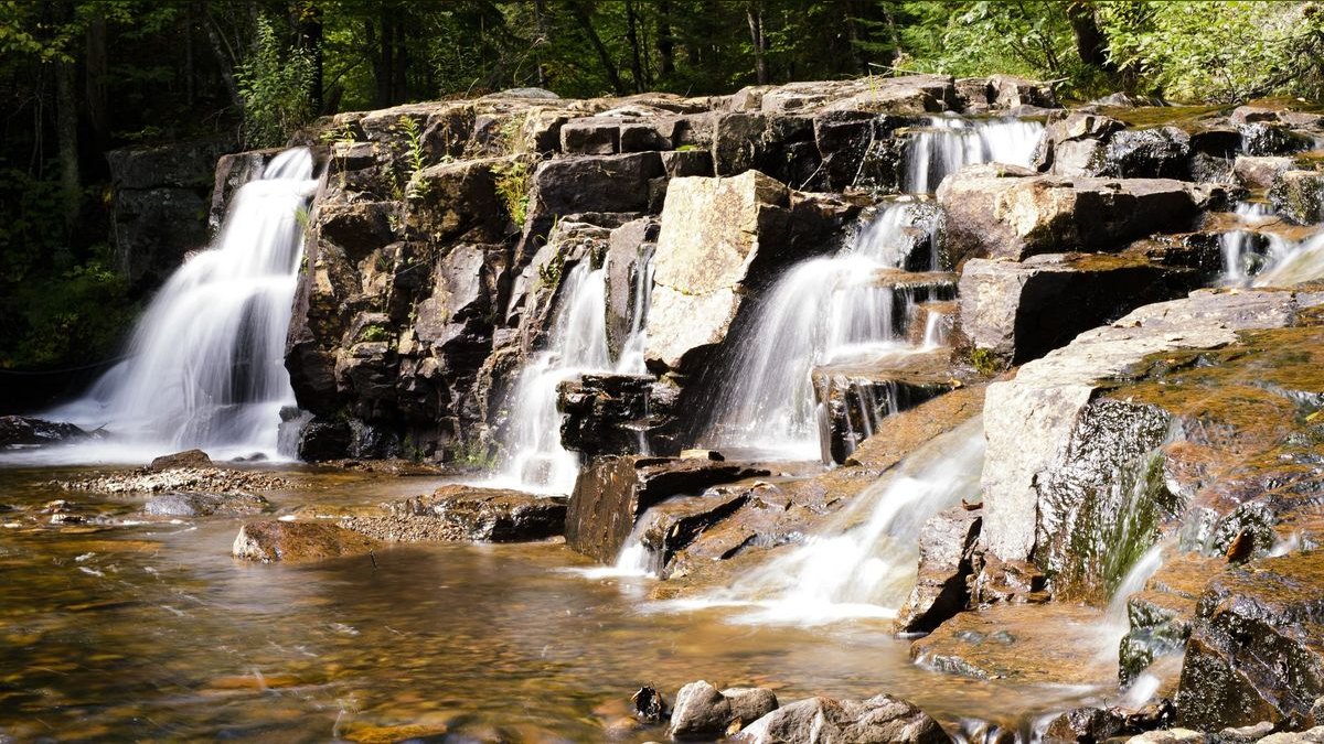 How do I find a fractional CRO in Falls Church — figure 4