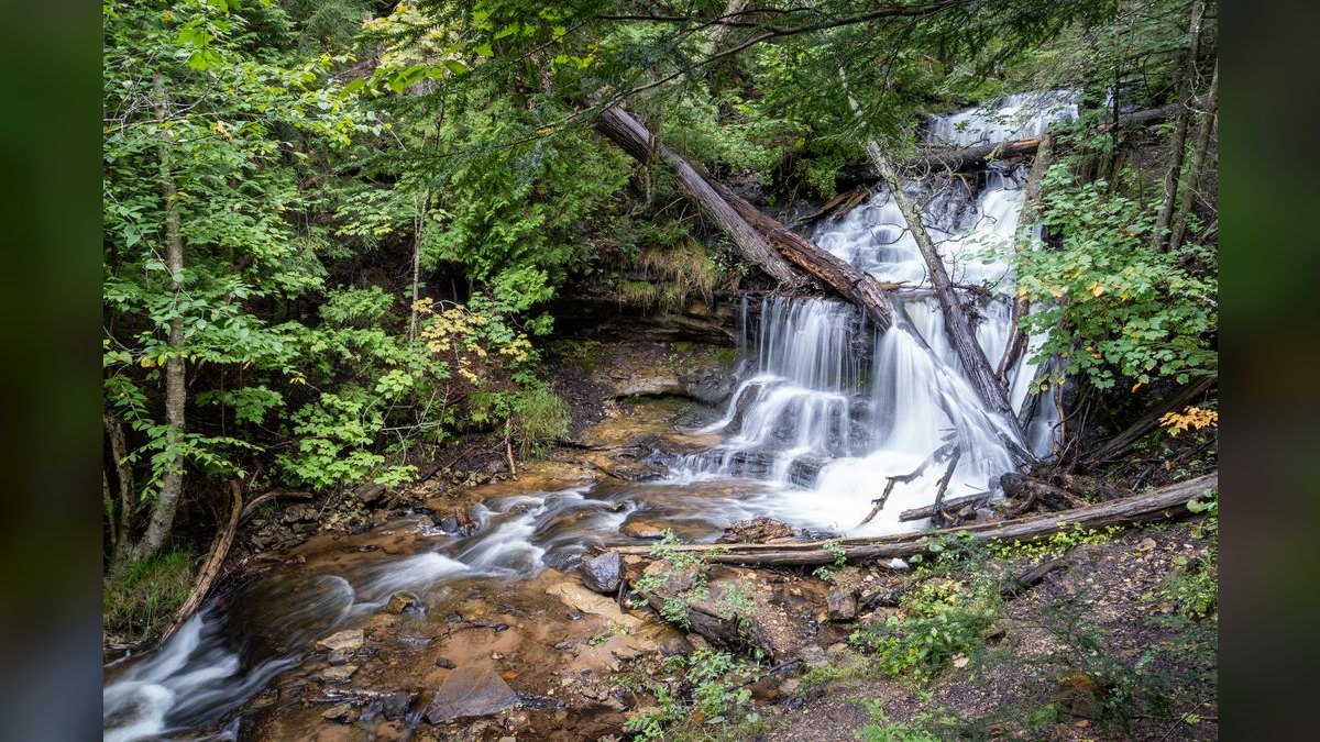 How do I find a fractional CRO in Falls Church — figure 6