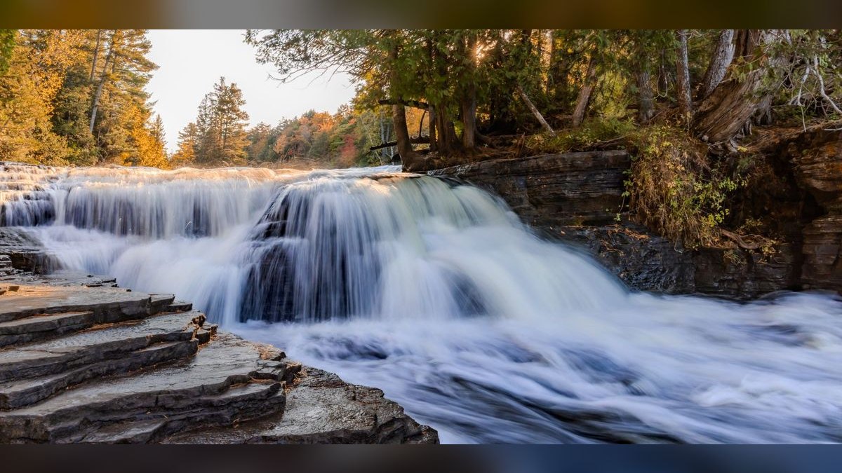 How do I find a fractional CRO in Falls Church in 2027?
