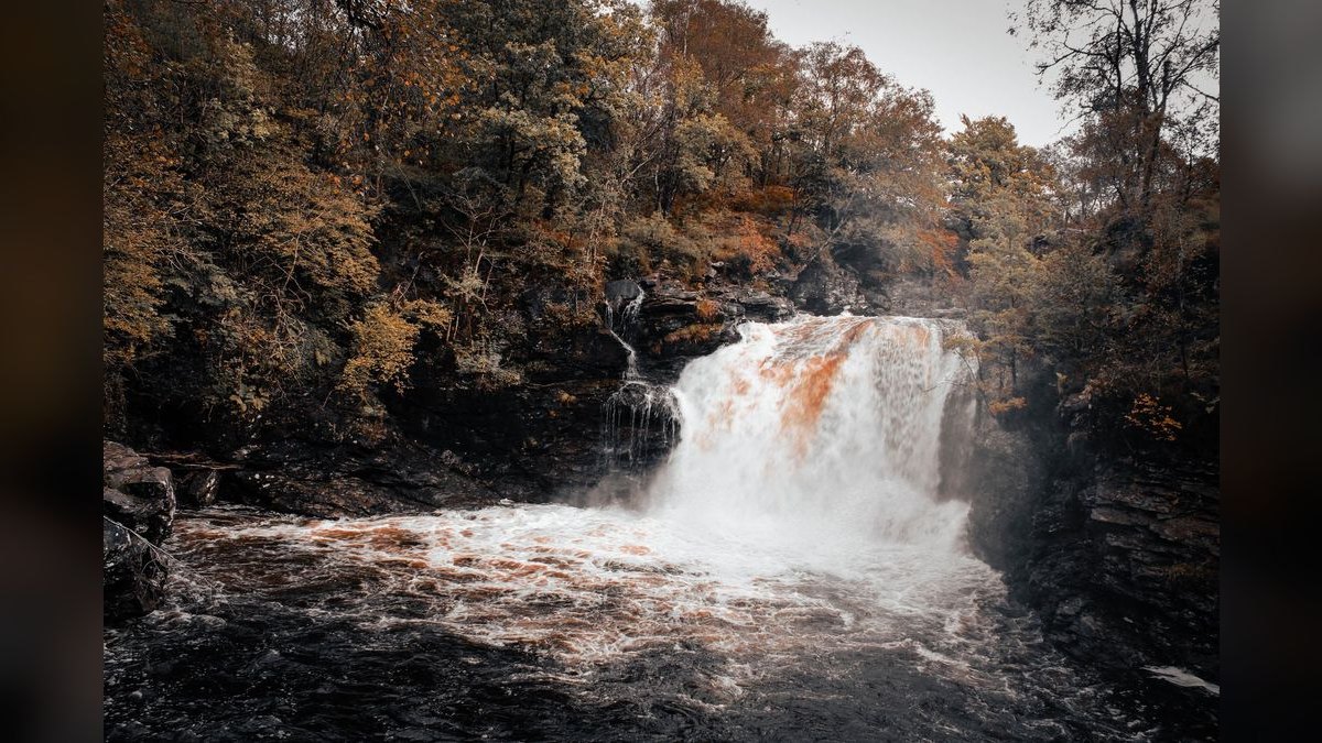 How do I hire a fractional CRO in Falls Church — figure 2