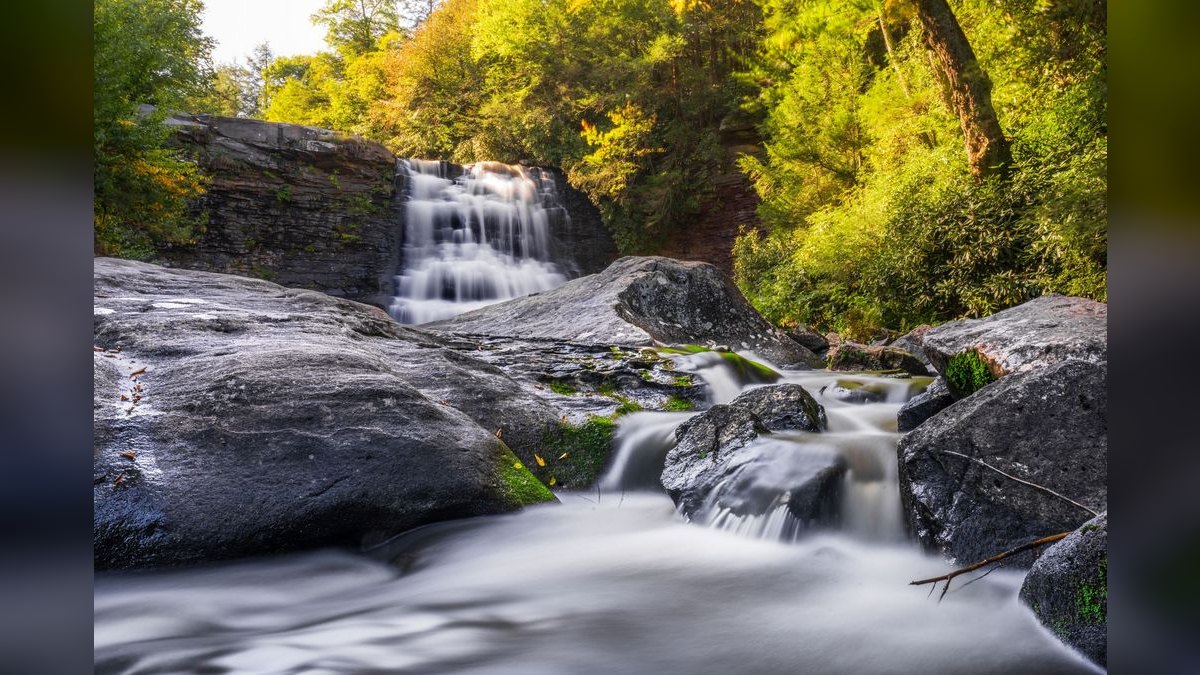 How do I hire a fractional CRO in Falls Church — figure 4
