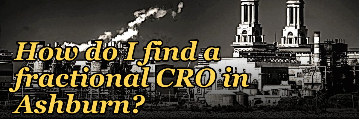 How do I find a fractional CRO in Ashburn in 2027?