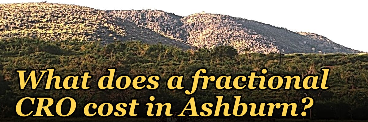 What does a fractional CRO cost in Ashburn in 2027?